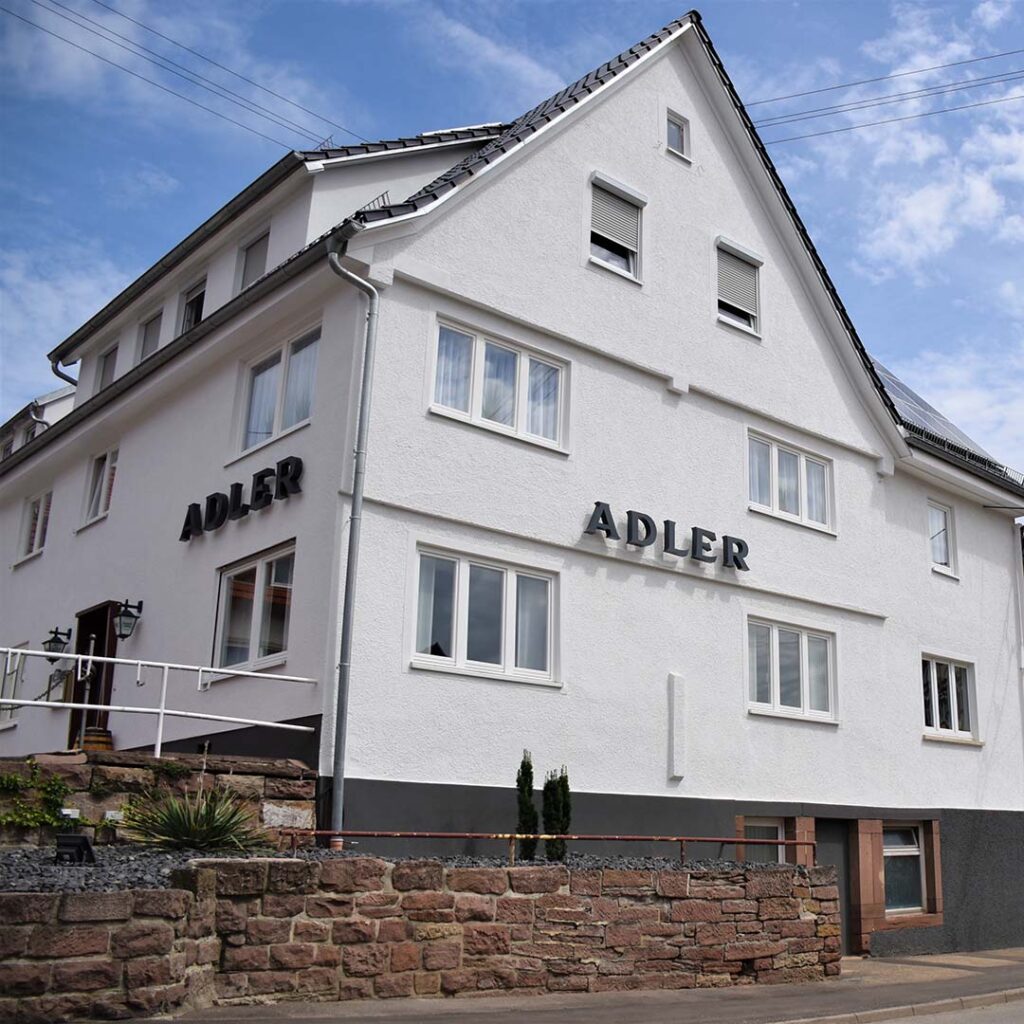 Adler startbild